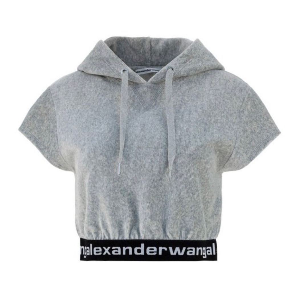 Alexander Wang Gray Cropped sleeveless velvety Hoodie